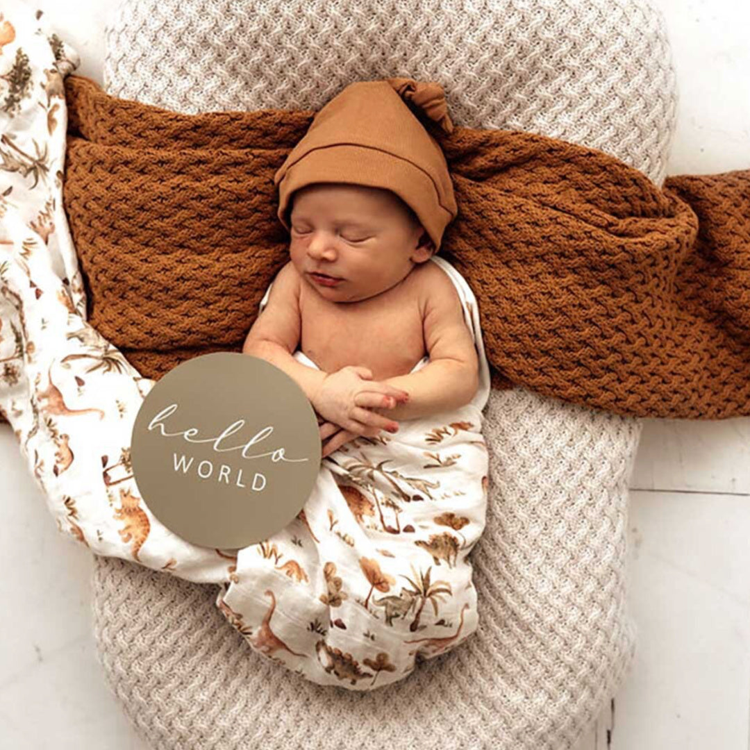 SNUGGLE HUNNY REVERSIBLE MILESTONE CARDS - DINO &amp; DEWKIST