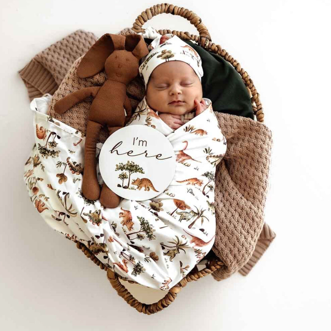 SNUGGLE HUNNY ORGANIC JERSEY WRAP AND BEANIE SET - DINO