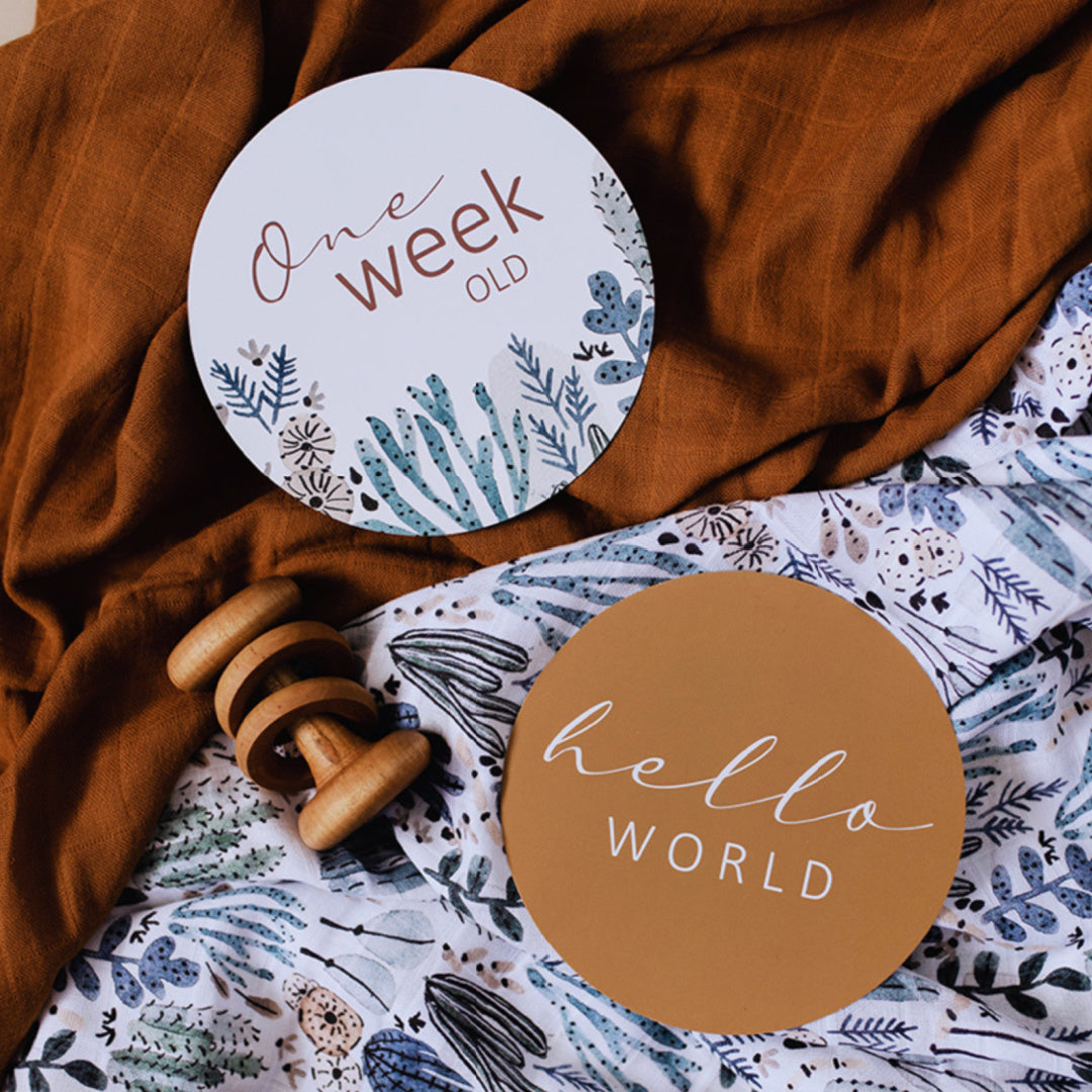 SNUGGLE HUNNY REVERSIBLE MILESTONE CARDS - ARIZONA &amp; BRONZE