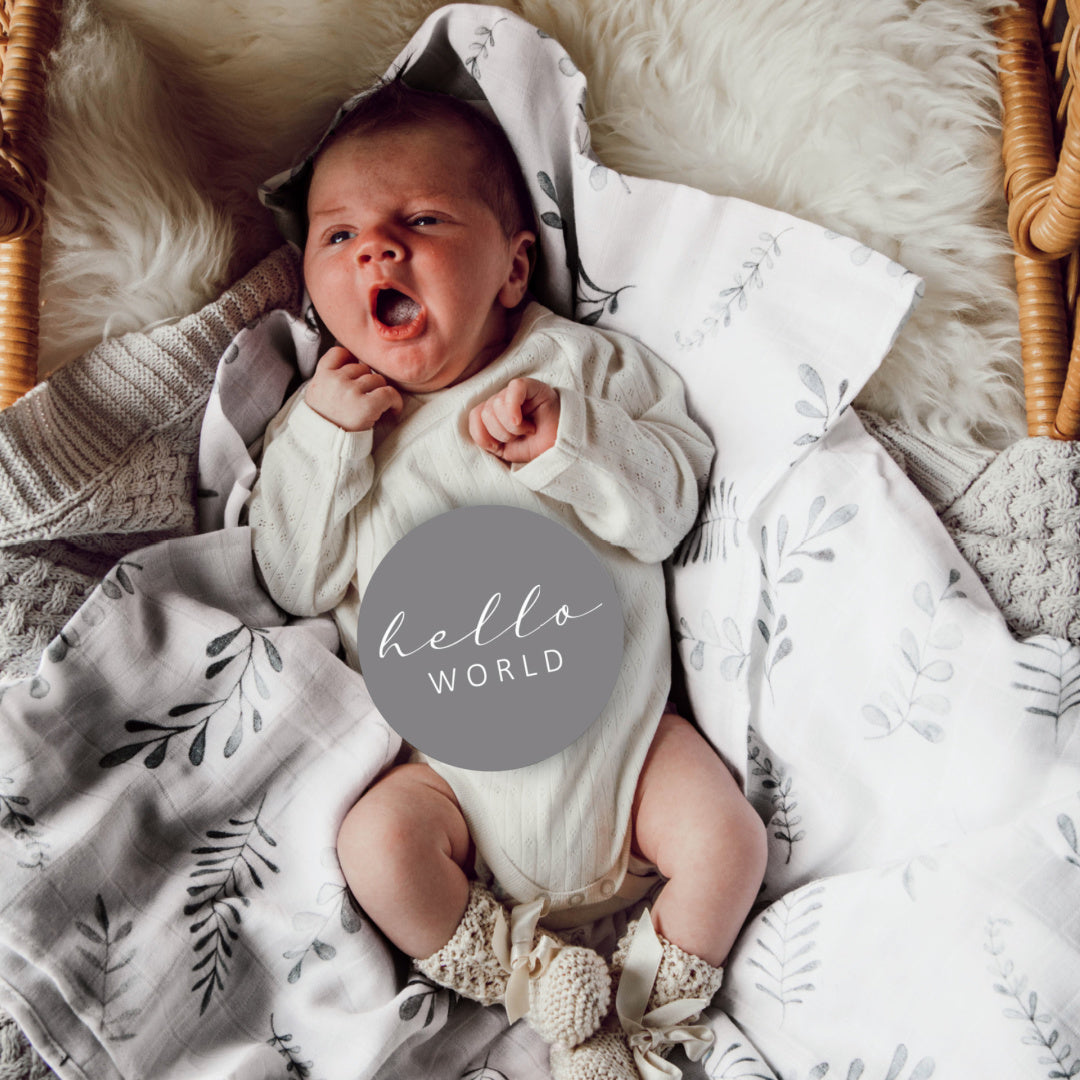 SNUGGLE HUNNY REVERSIBLE MILESTONE CARDS - WILD FERN &amp; GREY