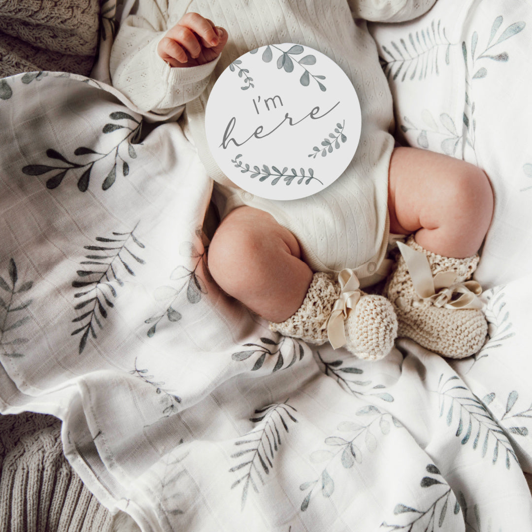 SNUGGLE HUNNY REVERSIBLE MILESTONE CARDS - WILD FERN &amp; GREY