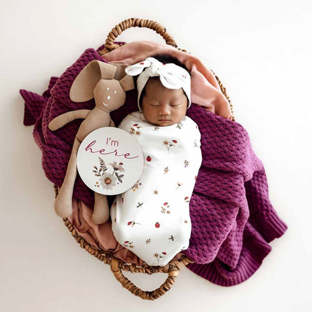 SNUGGLE HUNNY REVERSIBLE MILESTONE CARDS - LADYBUG