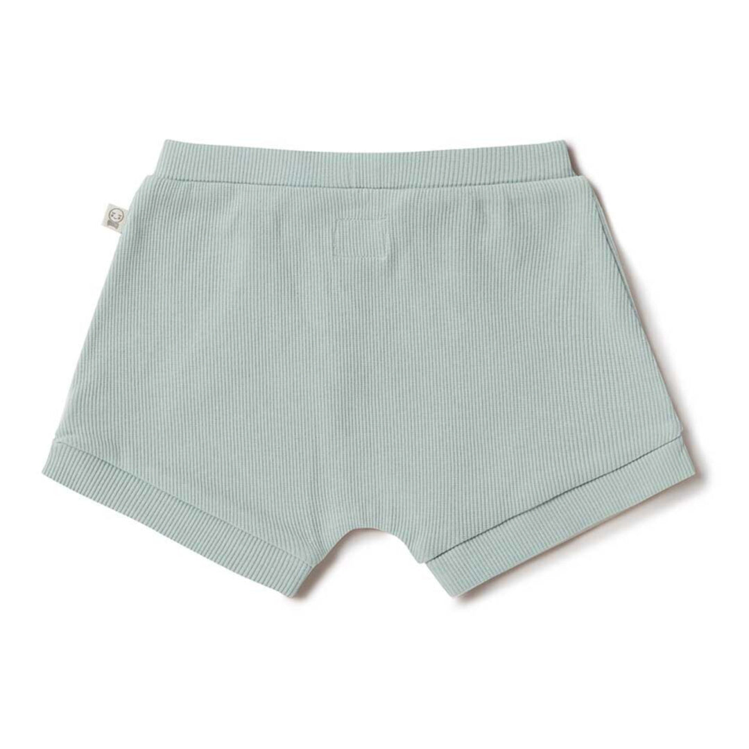 SNUGGLE HUNNY ORGANIC BABY SHORTS - SAGE